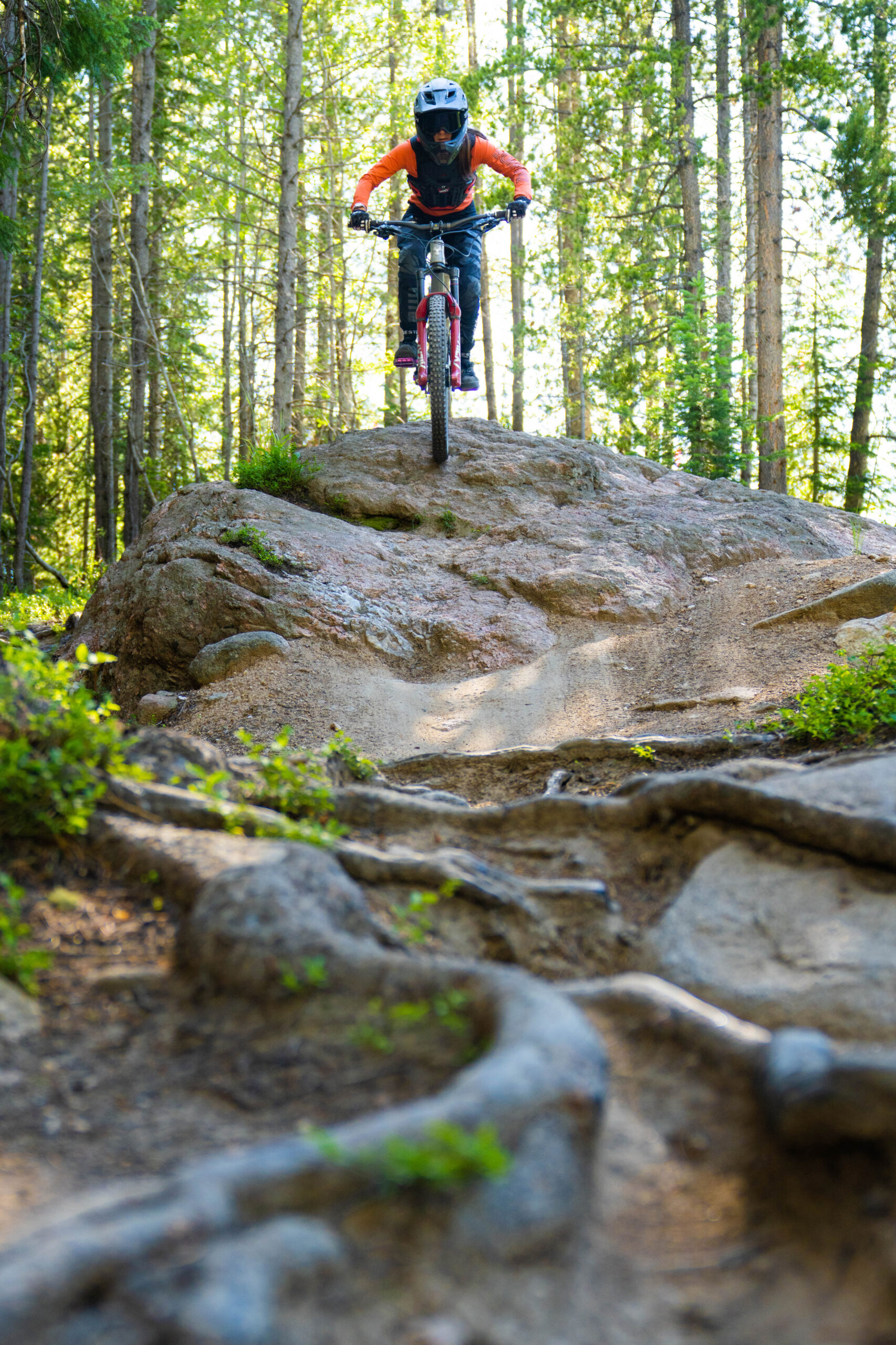 Daily Tickets – Trestle Bike Park